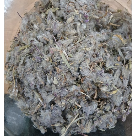 چای کوهی اصل