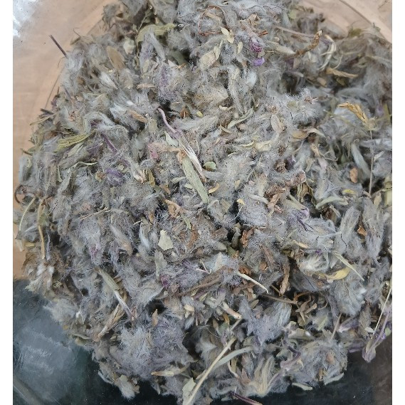 چای کوهی اصل