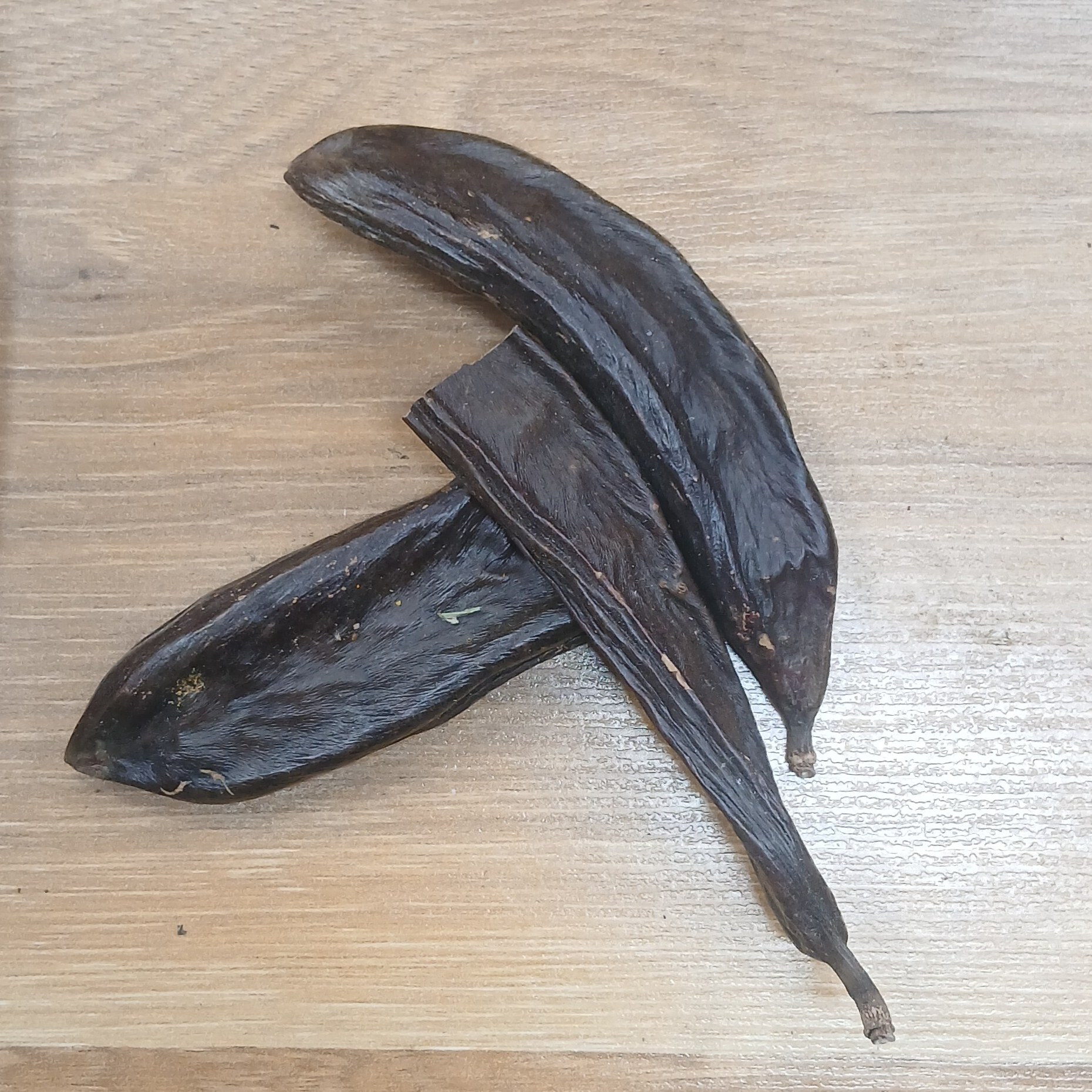 خرنوب اصل