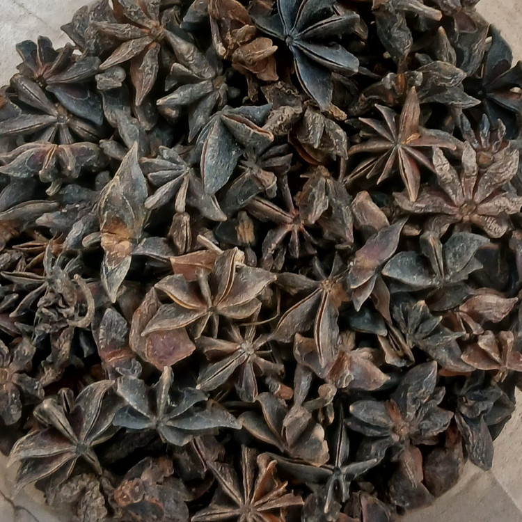 بادیان ستاره ای