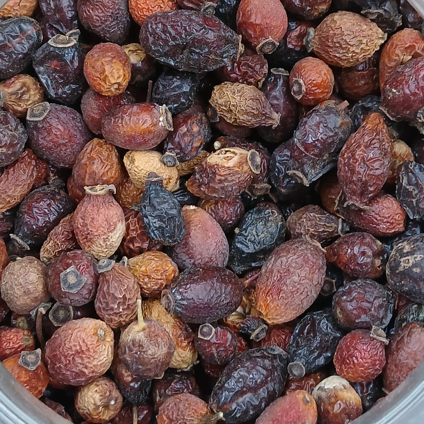 میوه نسترن