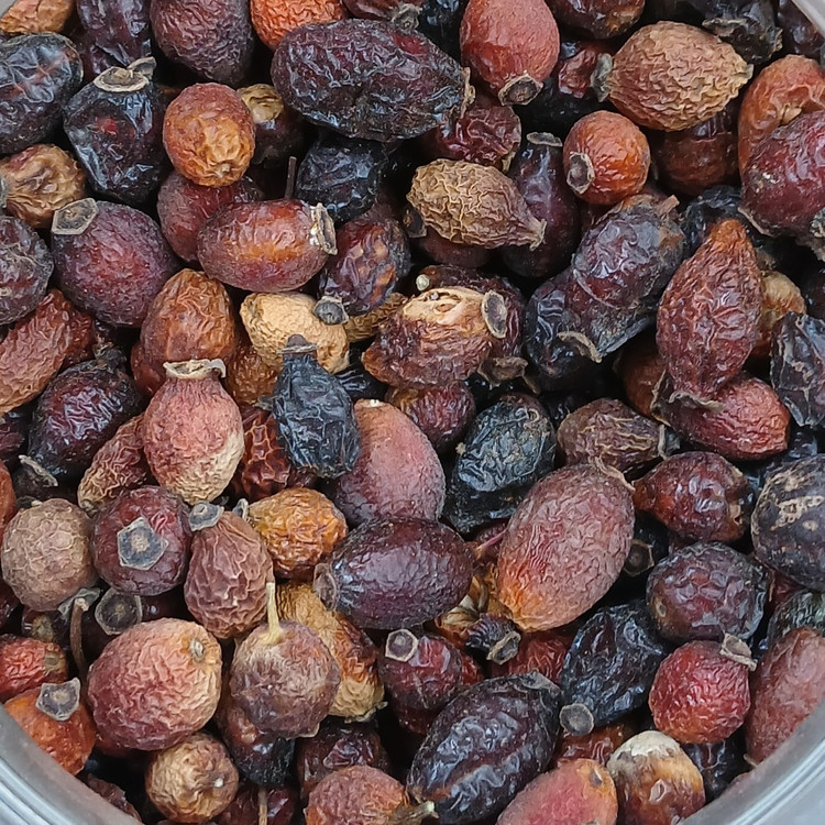 میوه نسترن