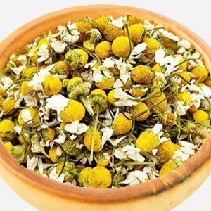 بابونه چشم گاوی
