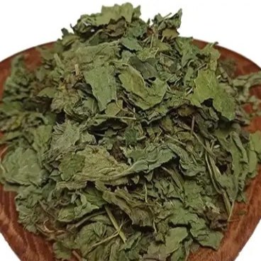 بادرنجبویه شیرازی و ملیس