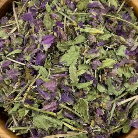 بادرنجبویه شیرازی و ملیس