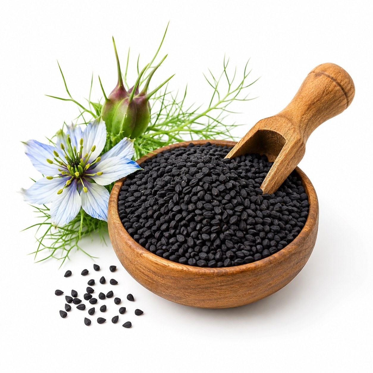 سیاهدانه اصل