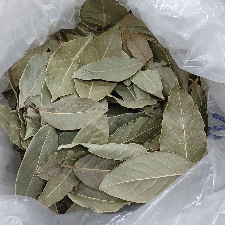 برگ بو