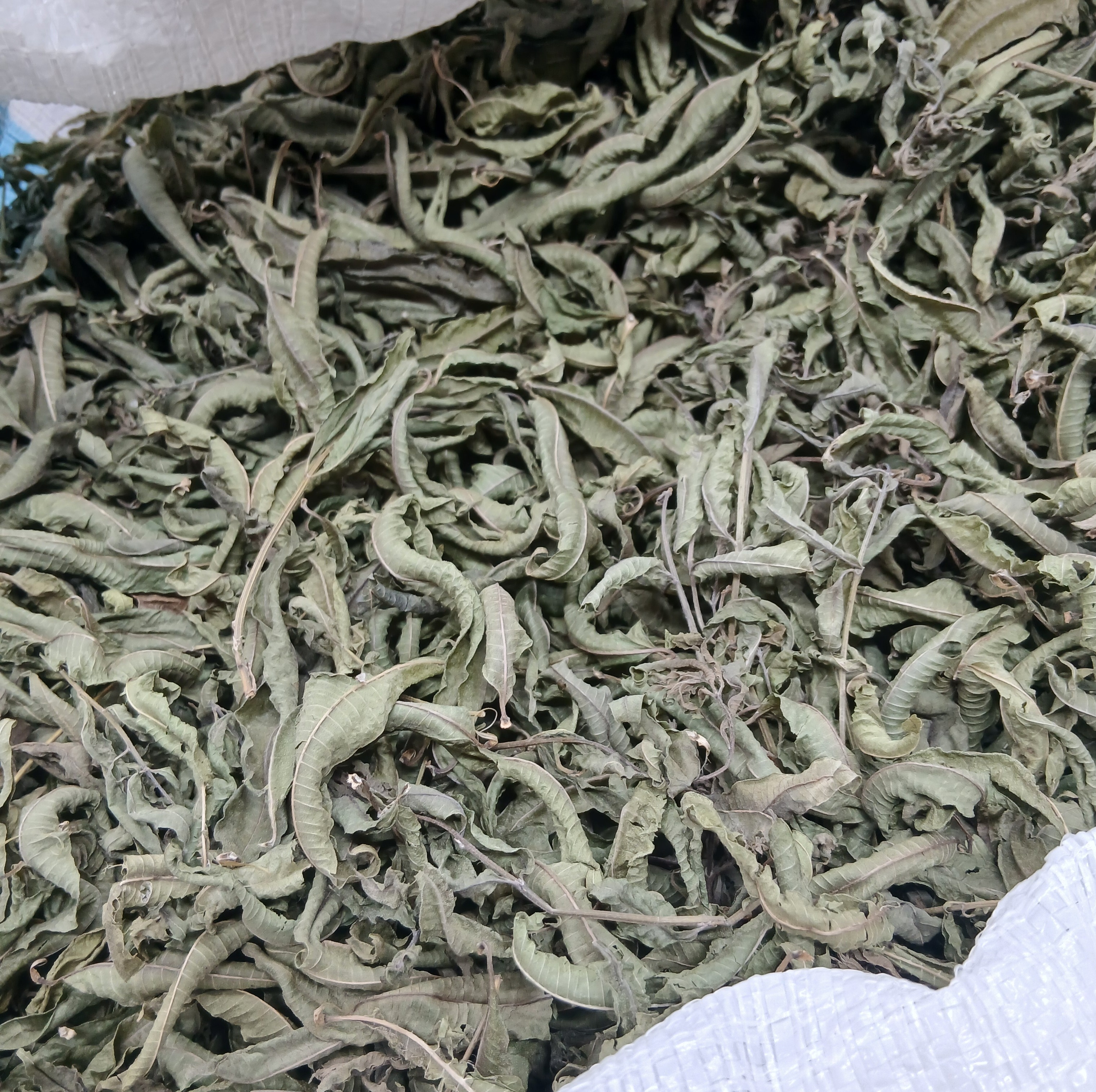 به لیمو درجه یک