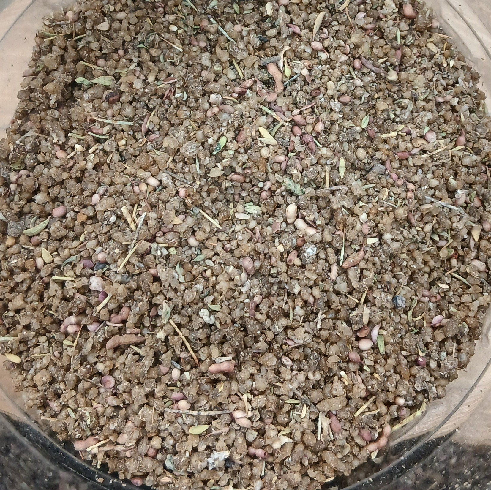 ترنجبین اعلا