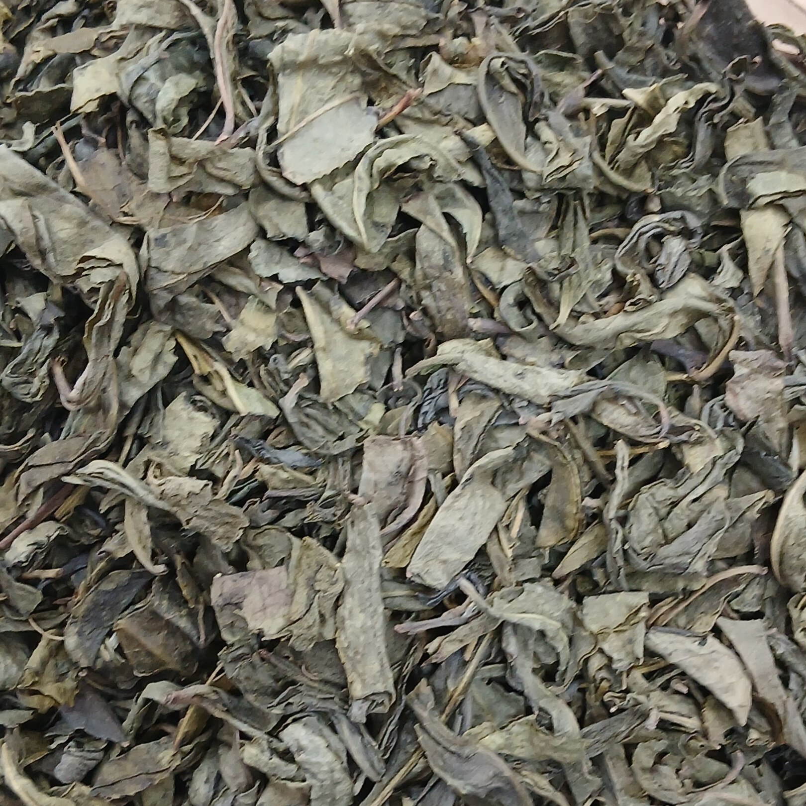 چای سبز ایرانی اعلا